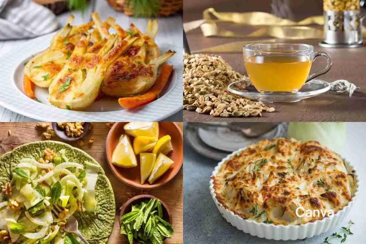 Fennel: a complete guide