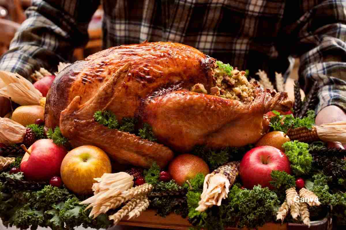 The Ultimate Guide on How to Safely Defrost a Frozen Turkey