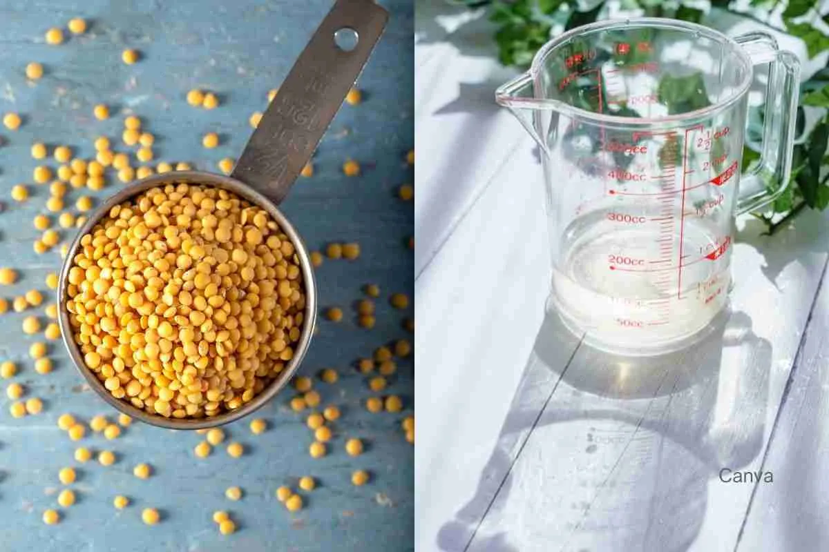 The Ultimate Guide: How Many Ounces in a Cup?