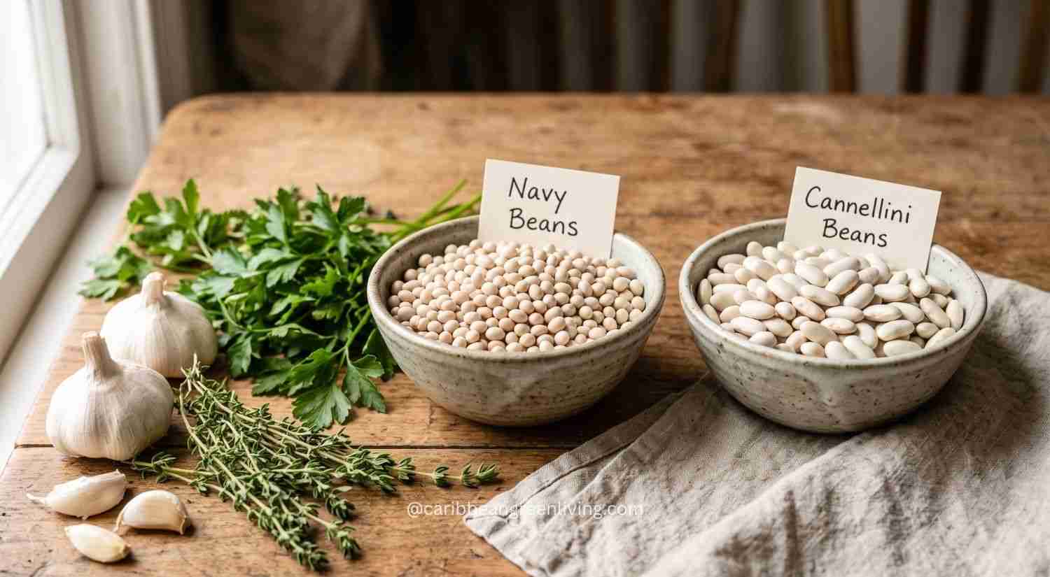 White Beans vs. Cannellini Beans
