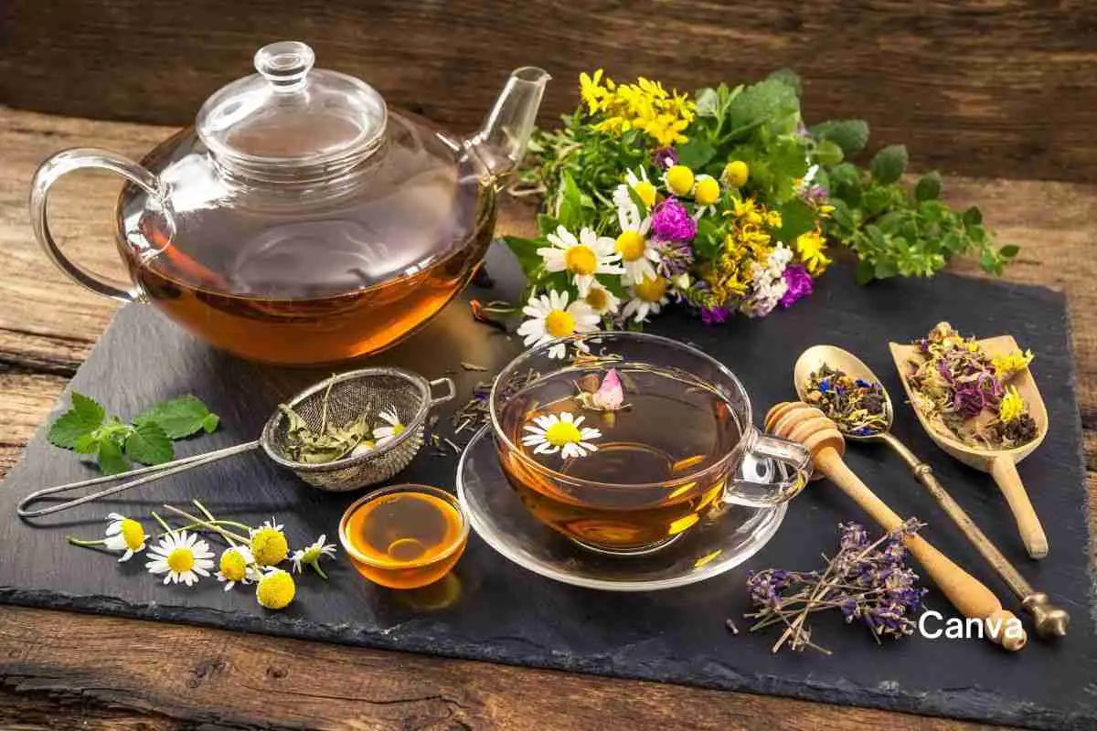 Chamomile Tea - teapot