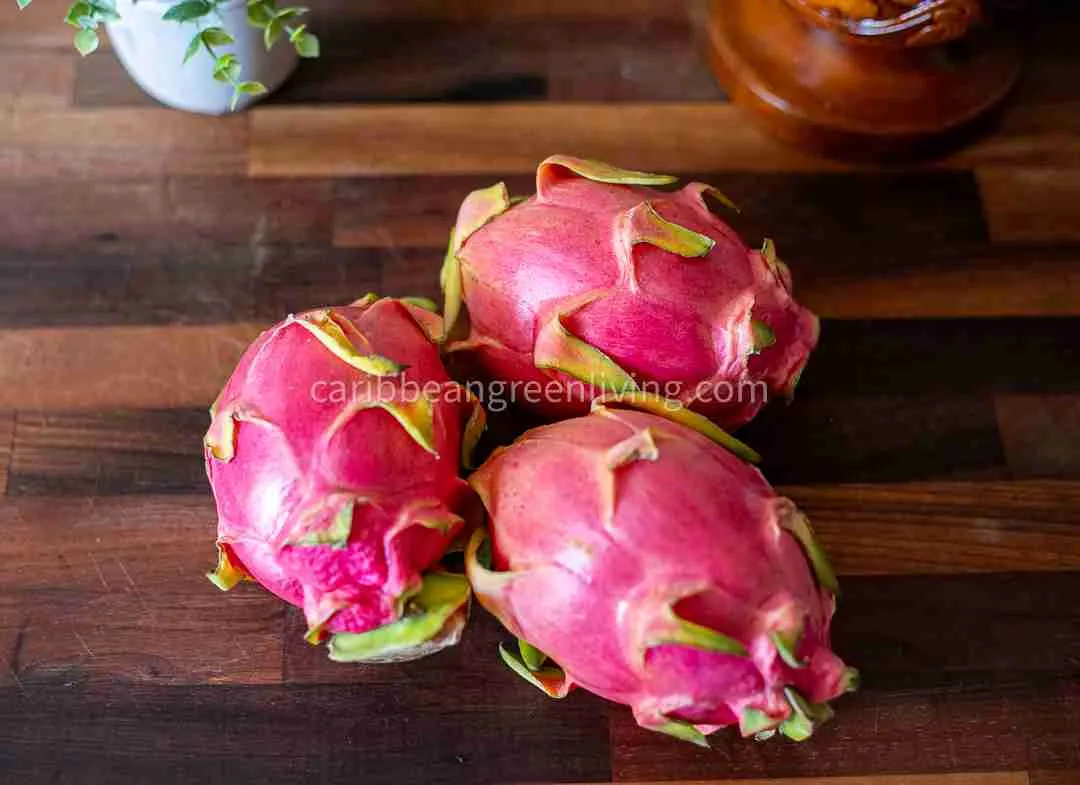 Dragon Fruit