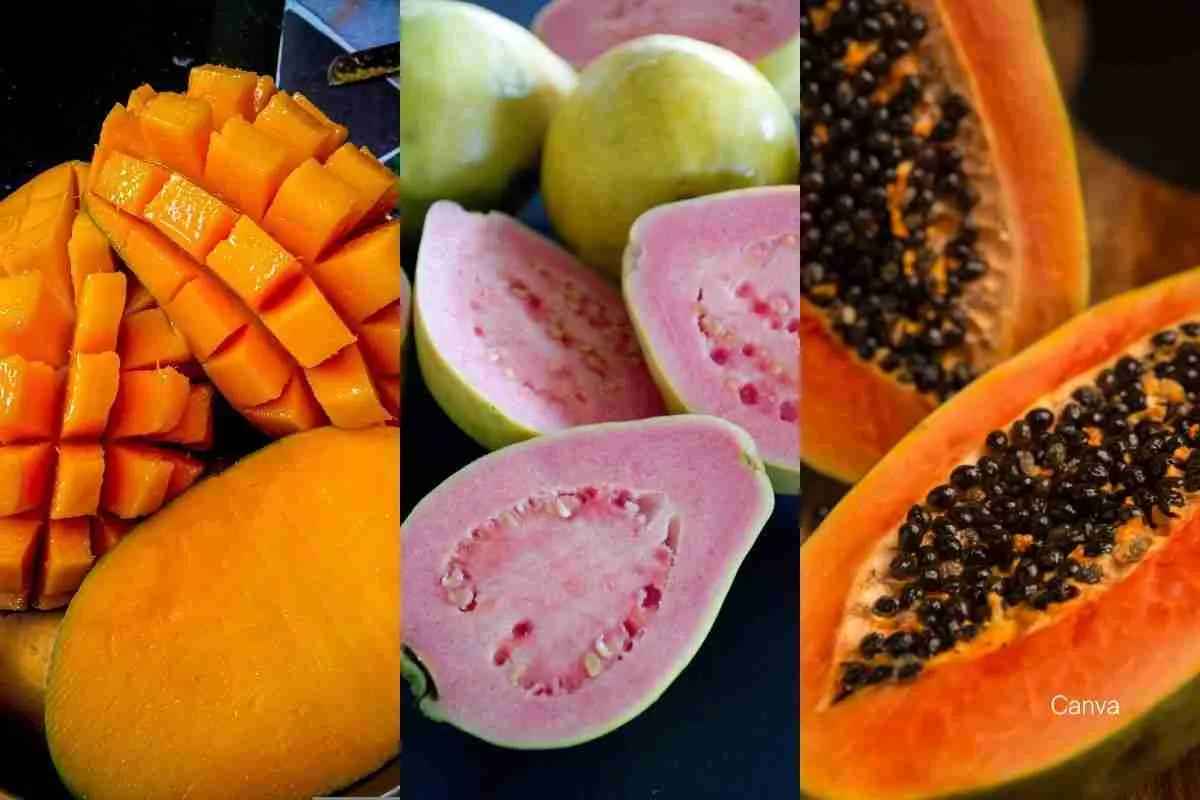 Boost Your Gut Health: The Power of Papaya, Mango, and Guava