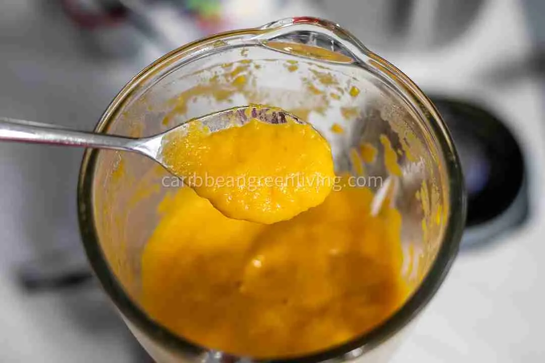 Spicy Squash Soup with Caribbean Flavors