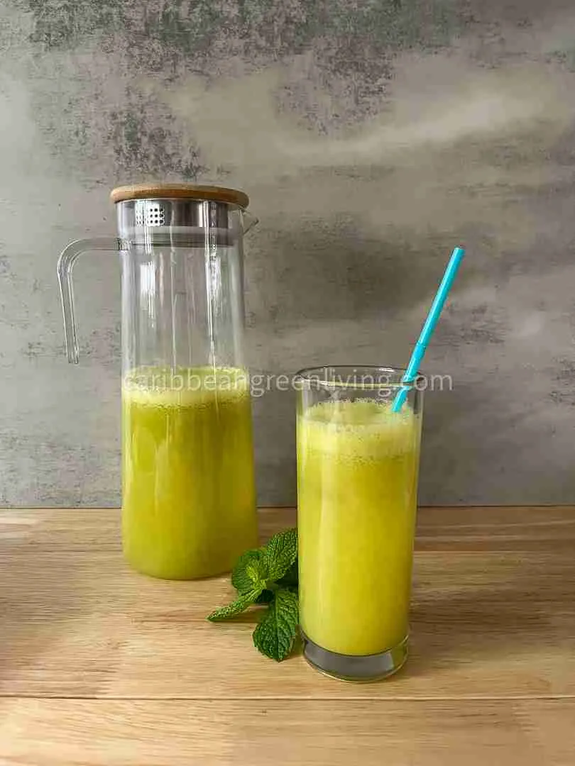 Chayote and Pineapple Juice