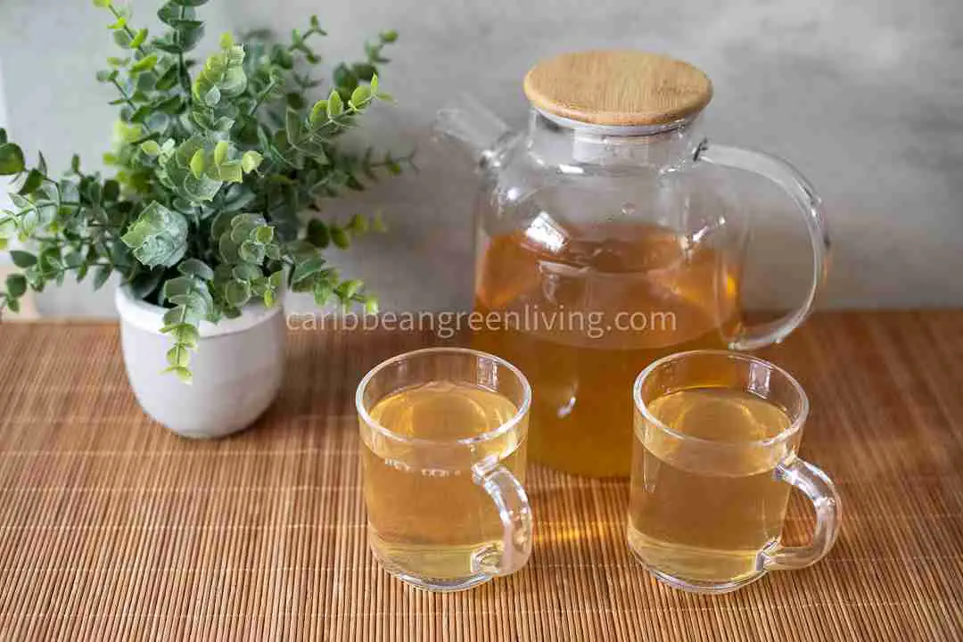 Pineapple Skin Juice – A Caribbean Tradition You Shouldn’t Be Sleeping On 1 Pineapple Skin Juice