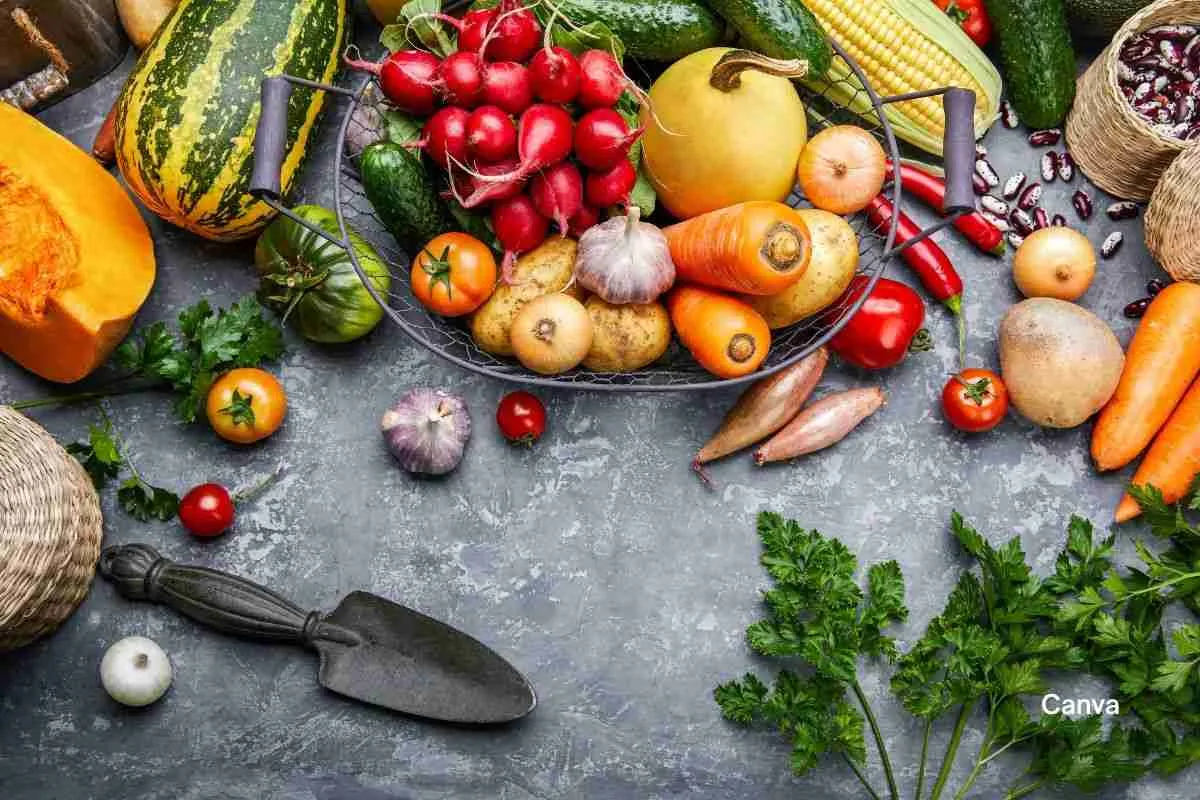 Top 10 Caribbean Pantry Staples for a Flavorful Kitchen