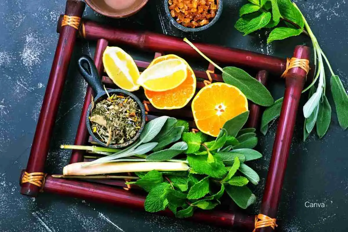 Caribbean Herbal Teas: 10 Healing Brews for Wellness and Relaxation