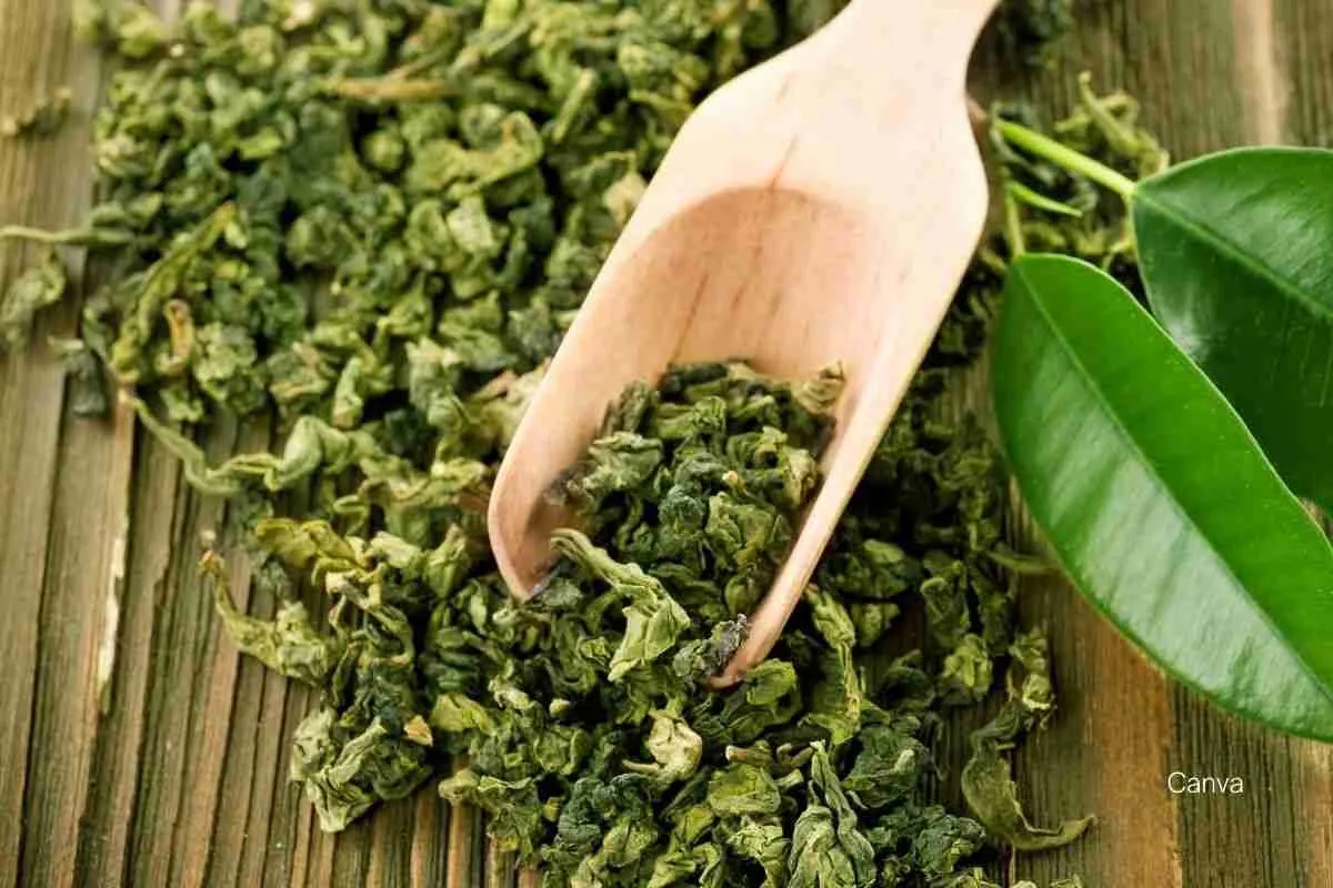 Caribbean Herbal Teas: 10 Healing Brews for Wellness and Relaxation