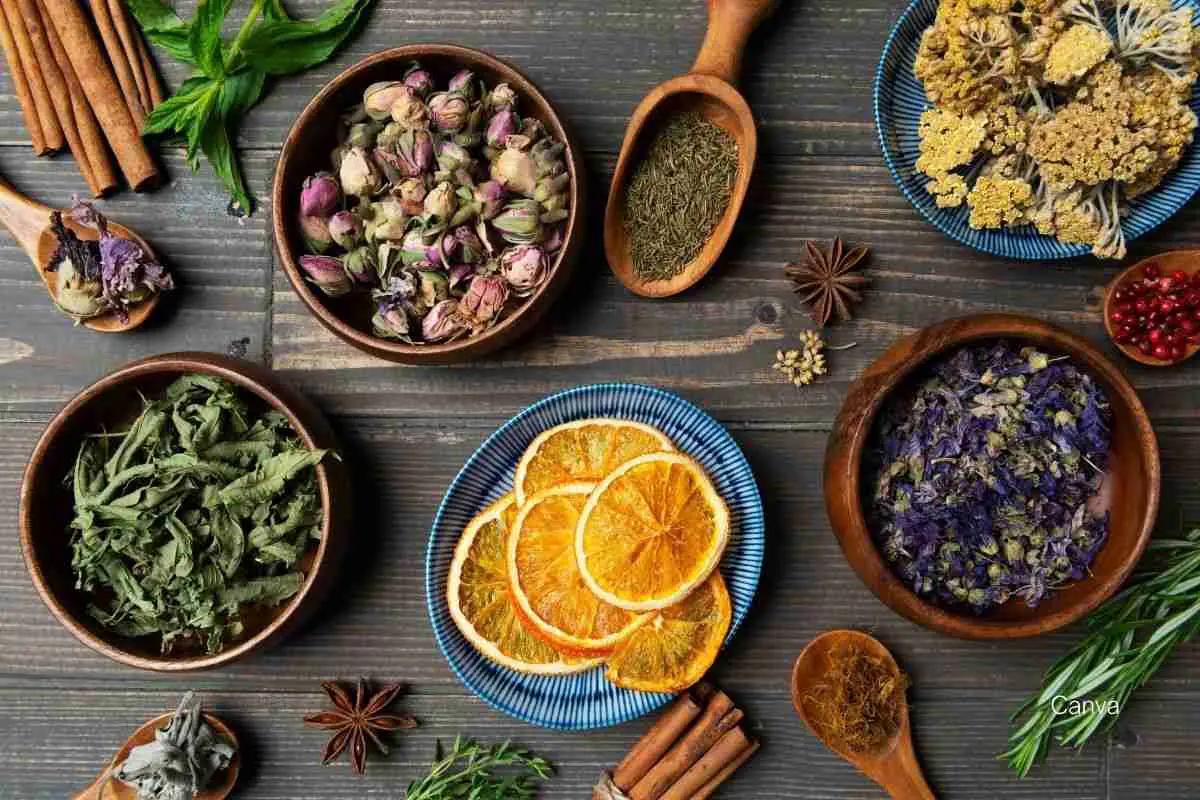 Caribbean Herbal Teas: 10 Healing Brews for Wellness and Relaxation