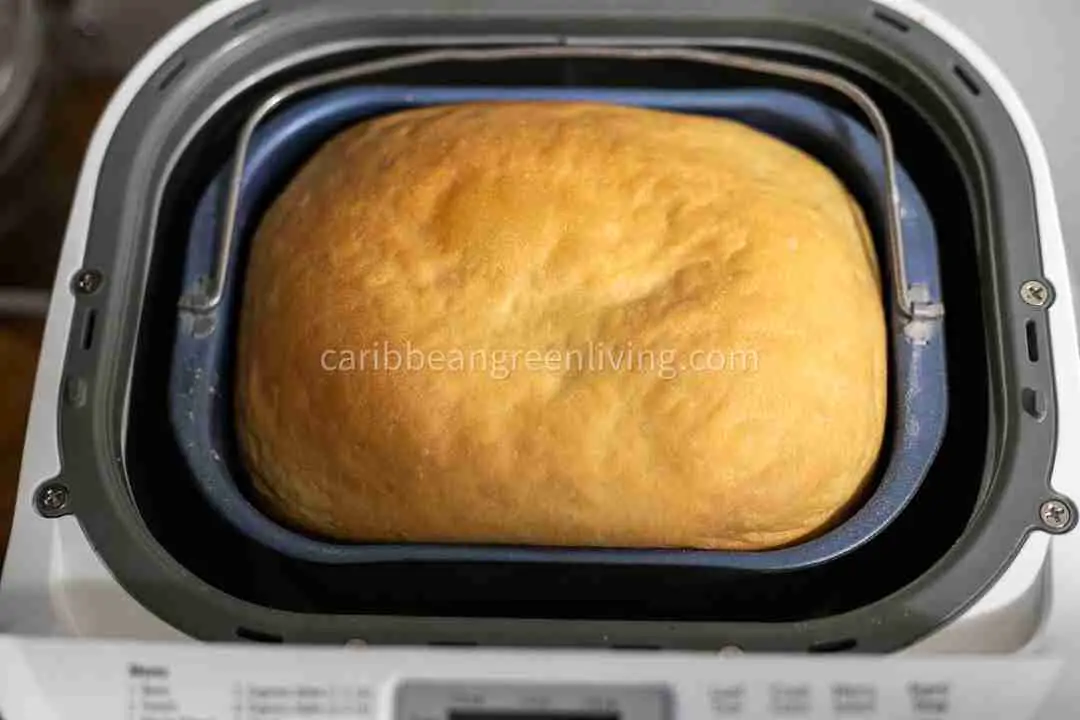 Coconut Sally Lunn Bread Machine Recipe
