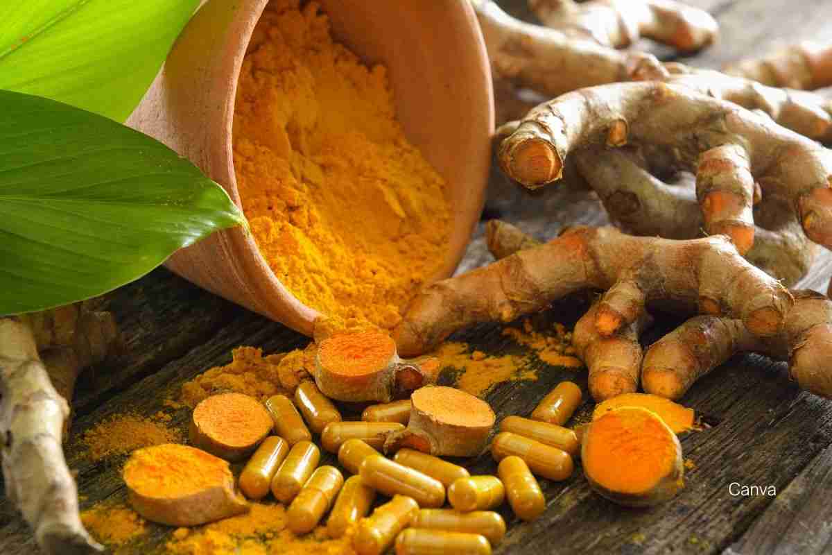 Turmeric Spice Benefits and Uses