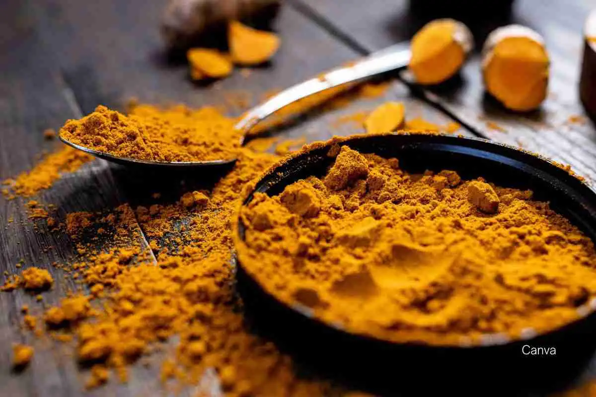 Turmeric Spice Benefits and Uses: A Complete Guide to the Golden Superfood