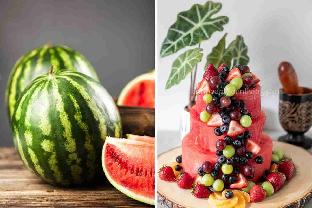 My First Watermelon Cake Carving Adventure