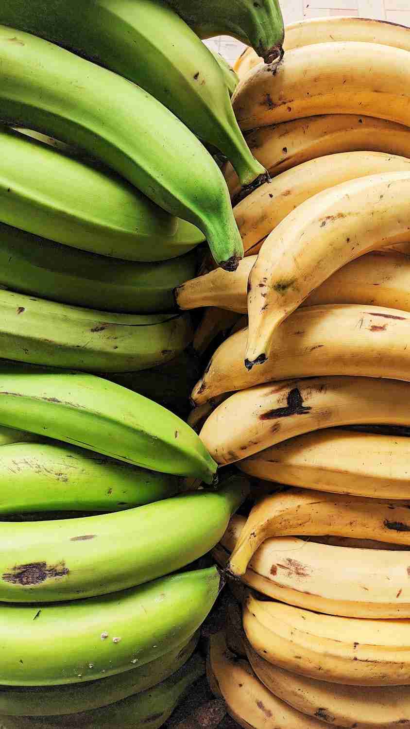 A vibrant display of unripe green and ripe yellow plantains, ideal for food photography.