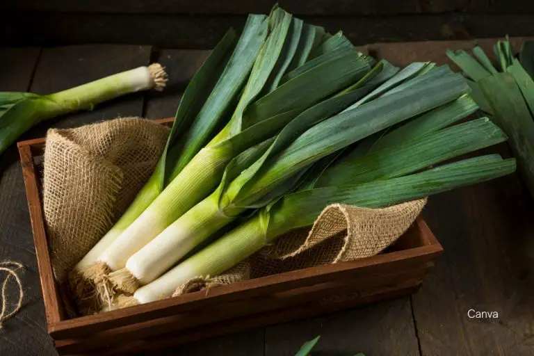 Leeks in Caribbean Cuisine