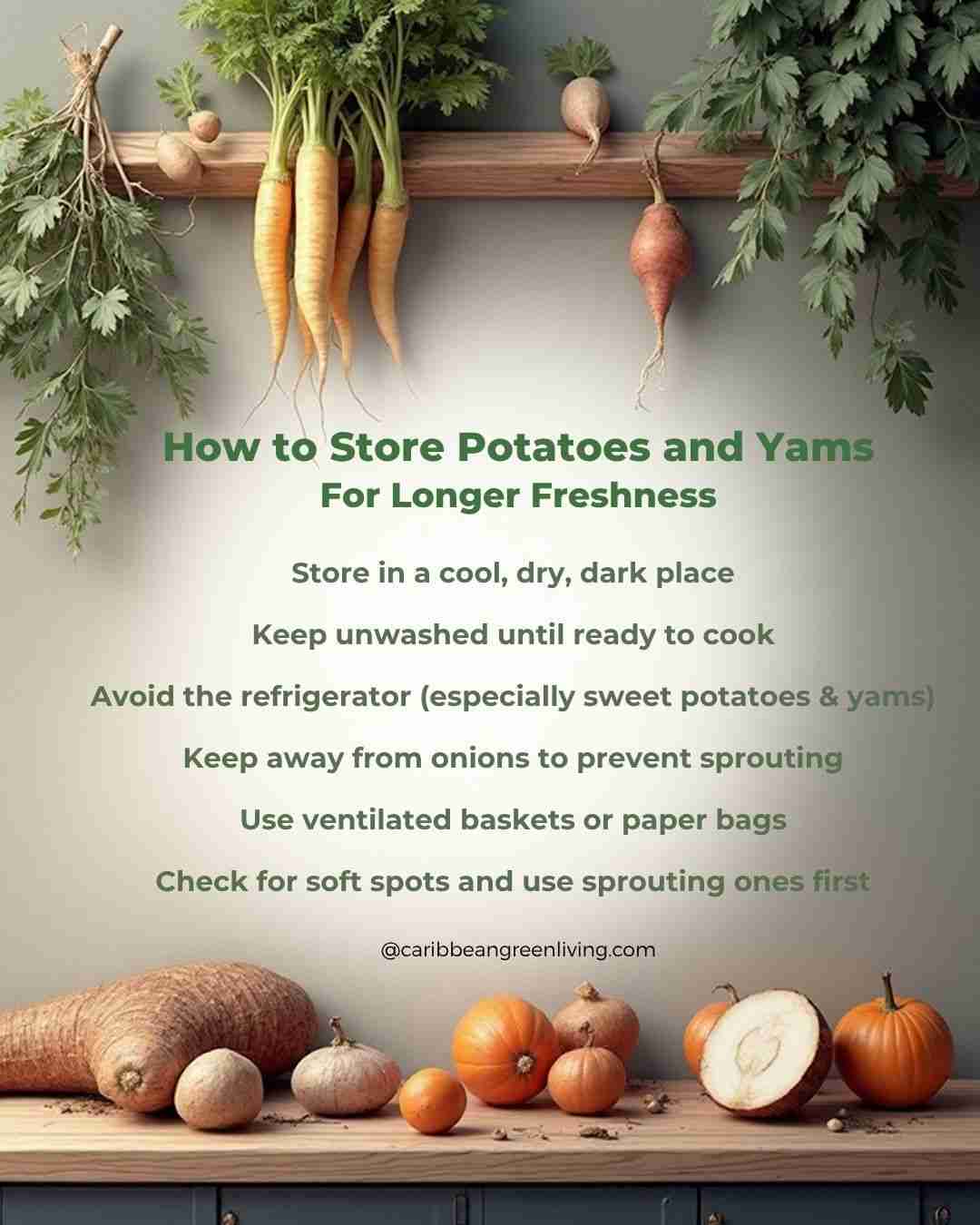 How to Store Potatoes and Yams For Longer Freshness - guide