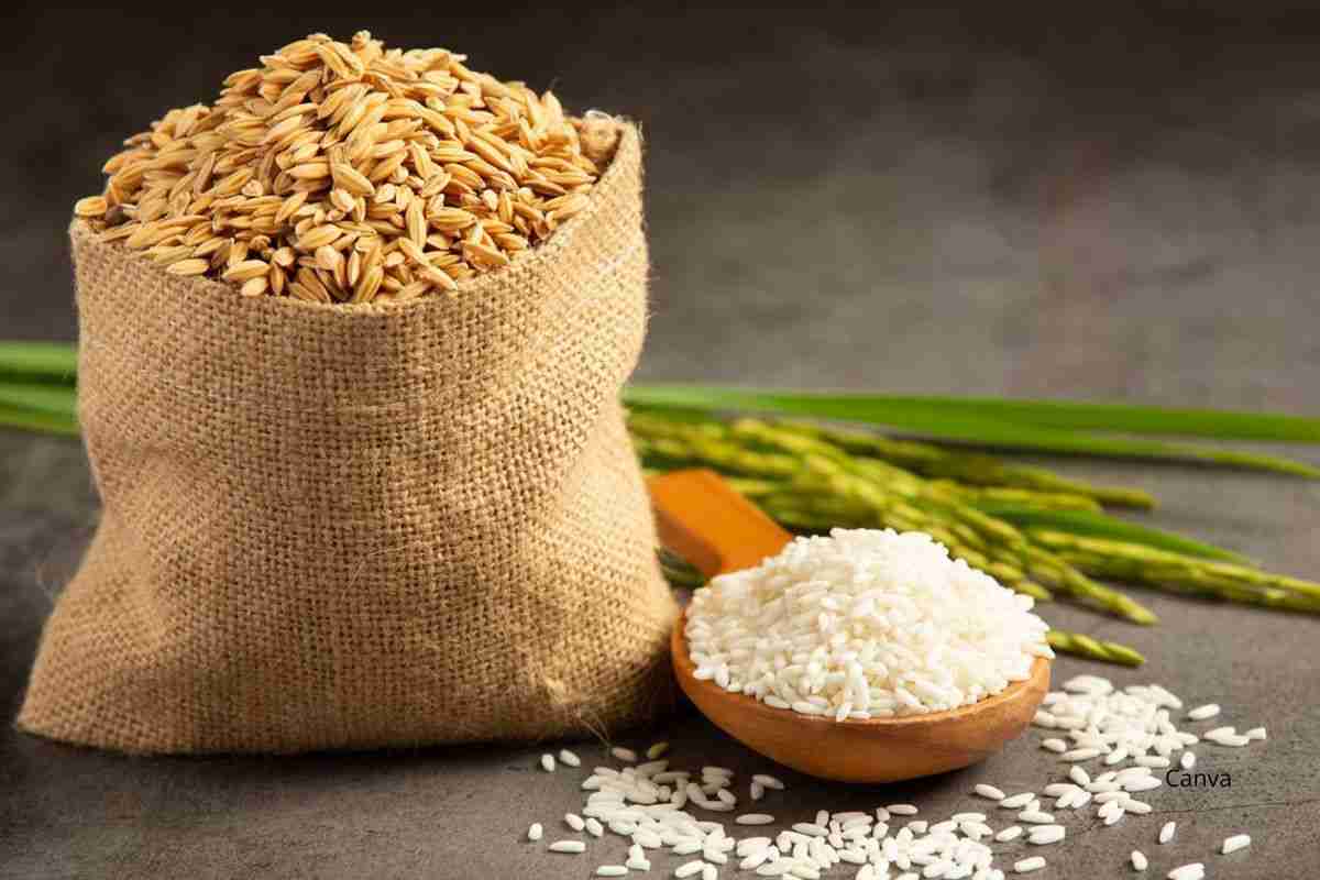 Basic Caribbean Rice (Perfect Every Time)
