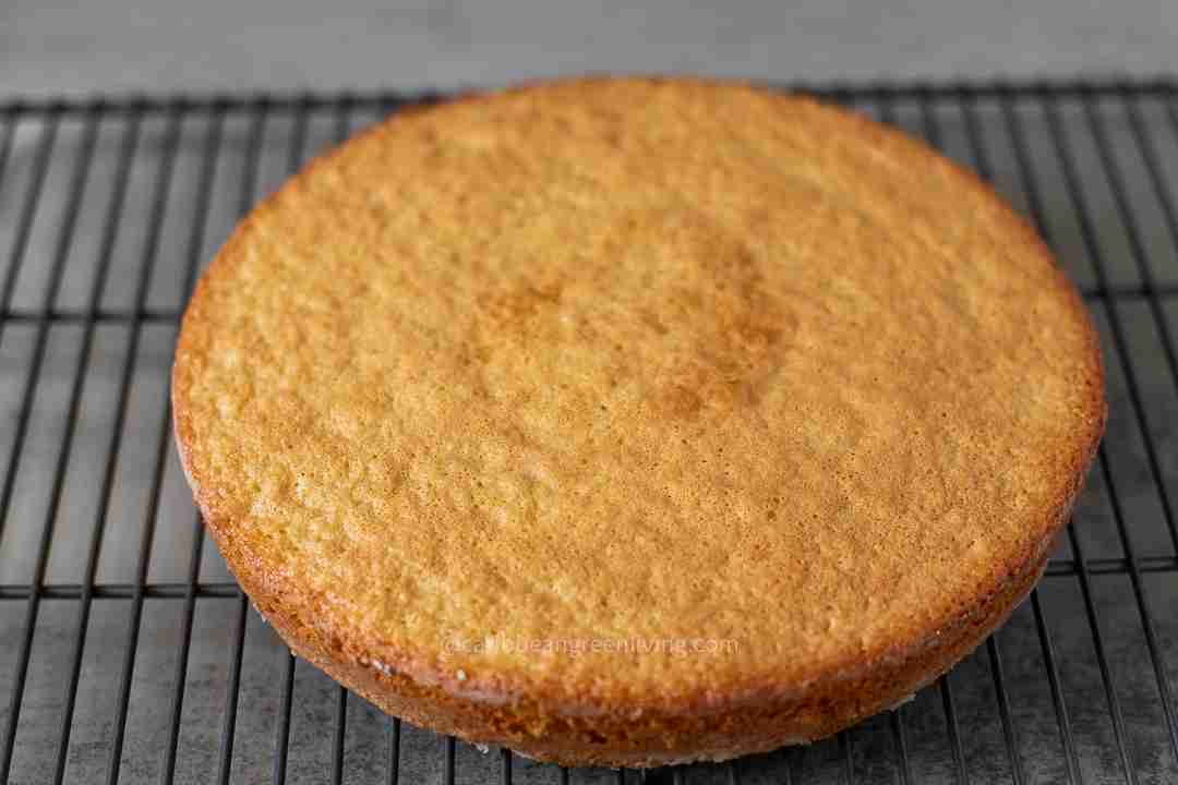 Genoise Cake 3