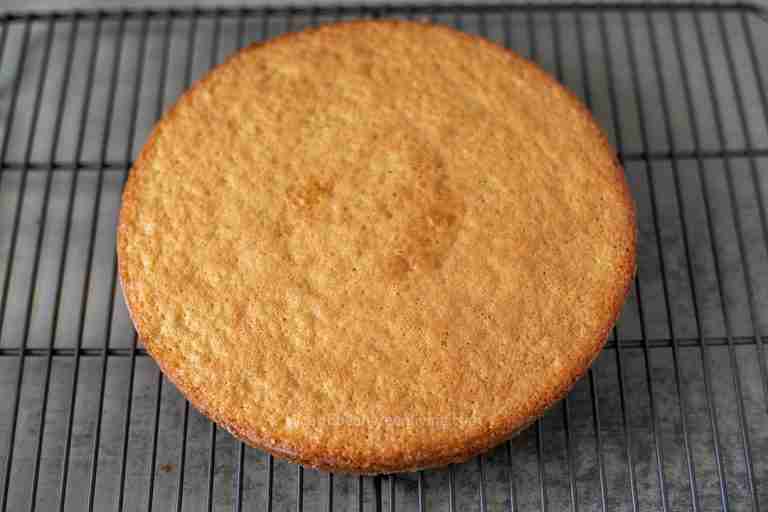 Genoise Cake