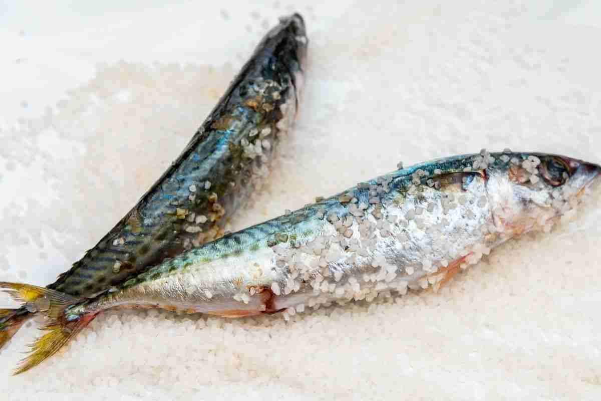 Caribbean Salted Fish and Smoked Seafood: Cooking Guide + Recipes 20 Salted Mackerel