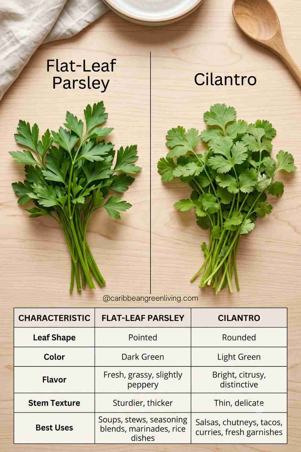 Difference between parsley and cilantro