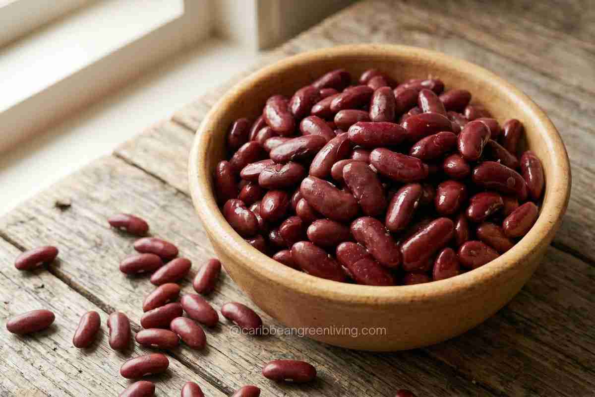 Beans and Legumes Guide for Caribbean Cooking: Types, Tips, and Recipes 14 Kidney Beans