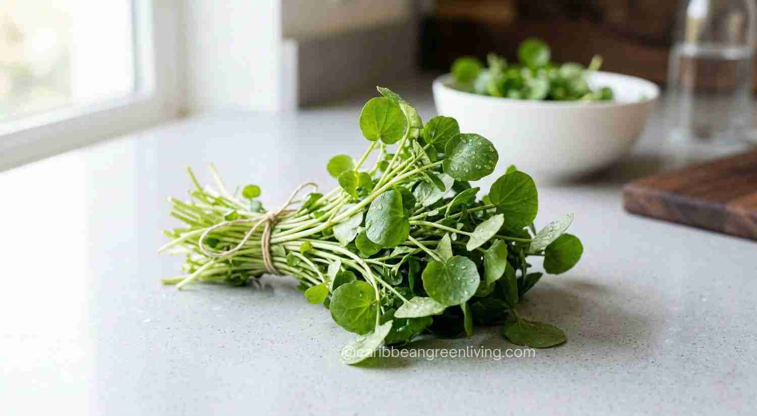Best Spring Greens to Eat: Caribbean and Everyday Greens for Fresh, Flavorful Cooking 5 watercress