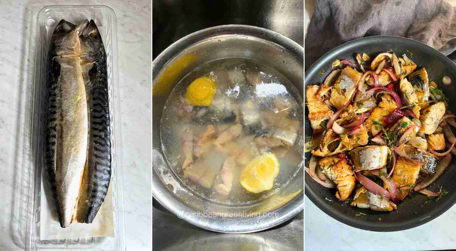 Beginner’s Guide to Salted Mackerel