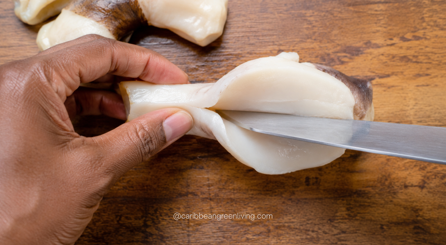 conch Butterfly Cut technique