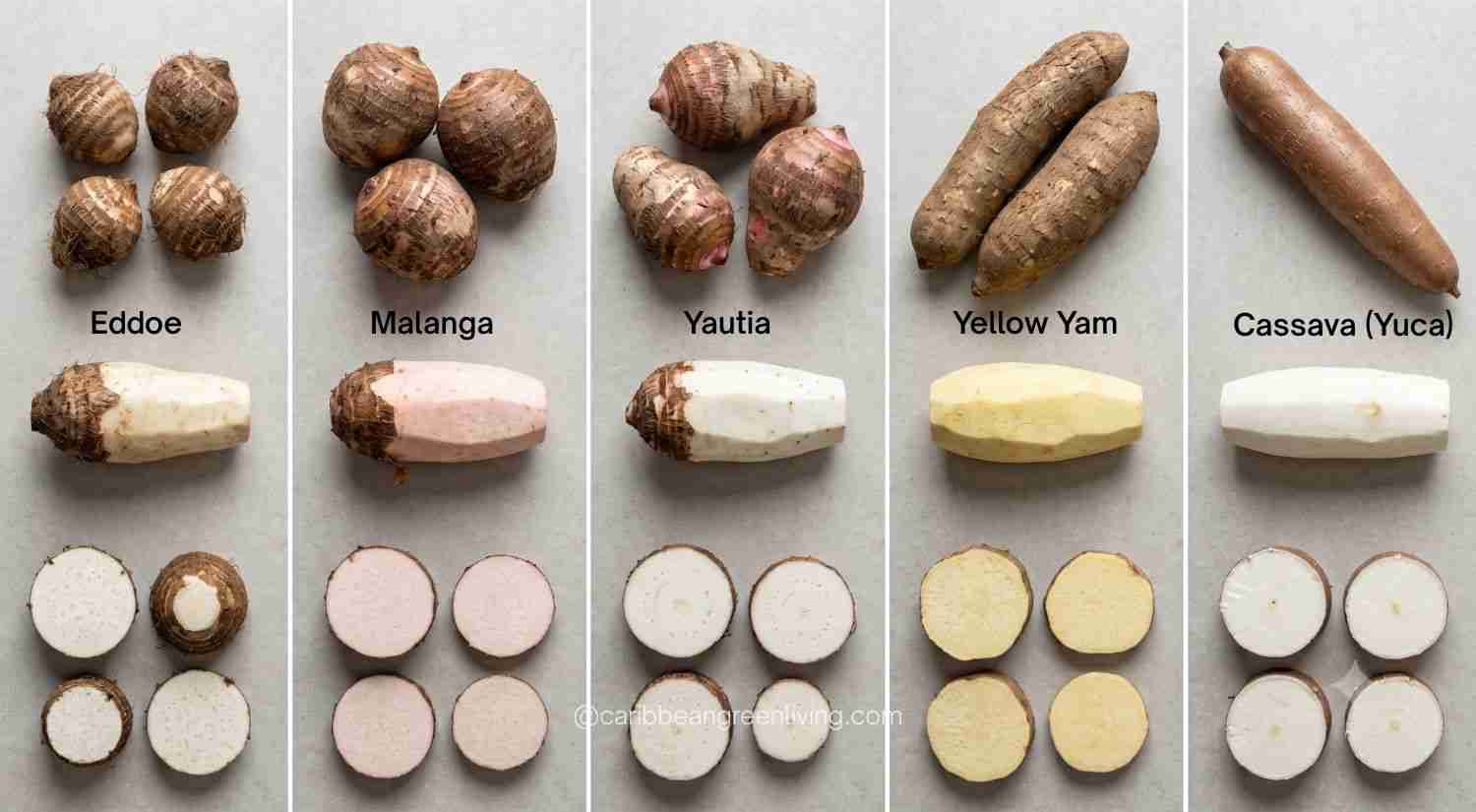 Caribbean Root Vegetable Comparison Chart
