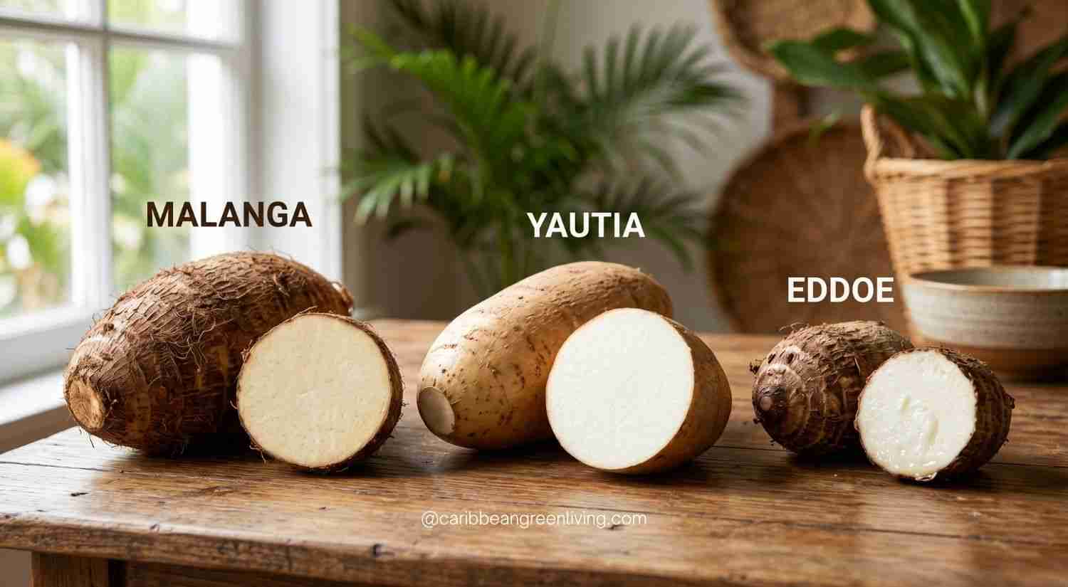 Caribbean Root Vegetables