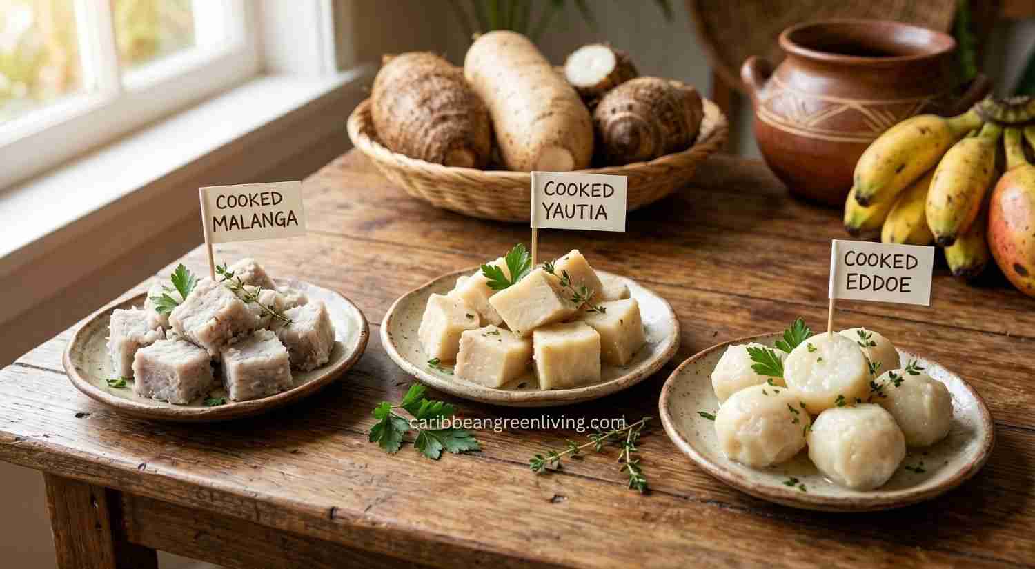 Cooked Root Vegetables: Malaga vs Yautia vs Eddoe