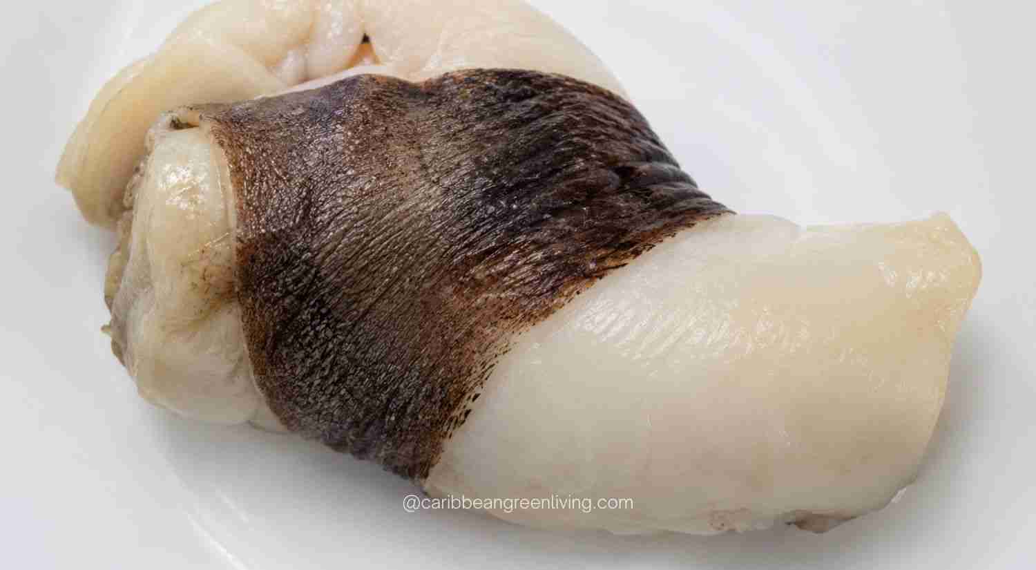 Conch - dark membrane removed