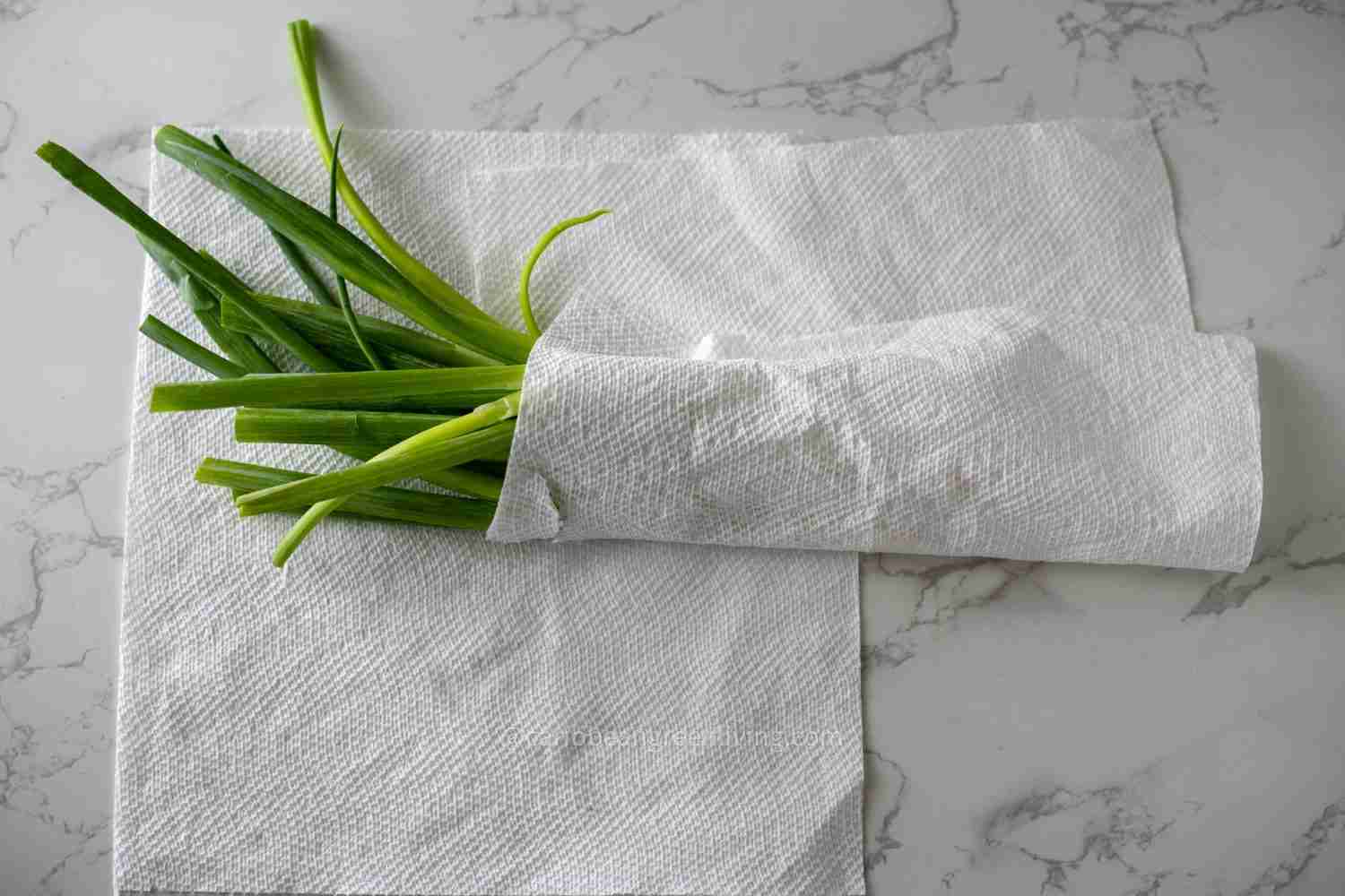 Fresh Scallion - Fridge storage with towel paper