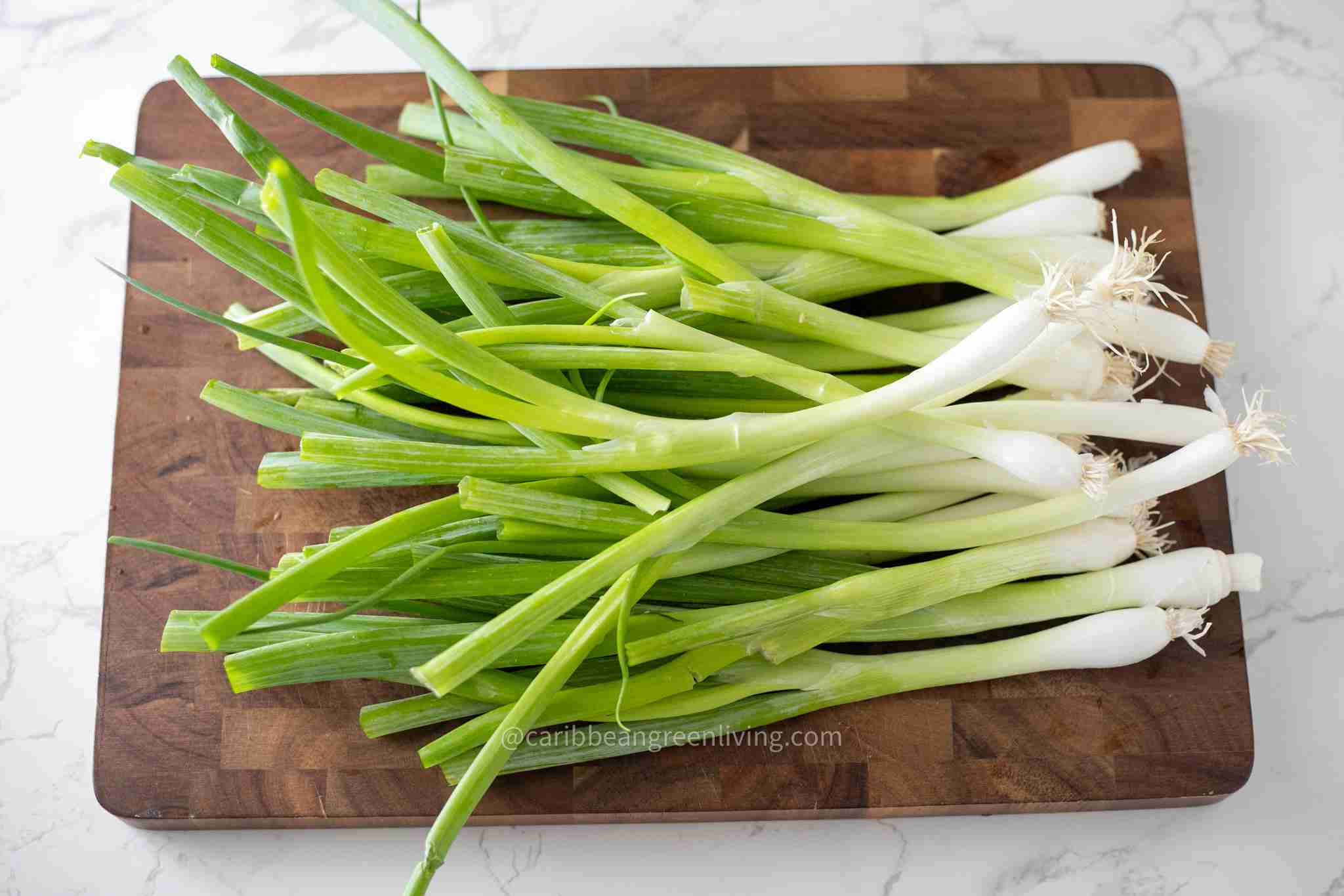 Fresh Scallions