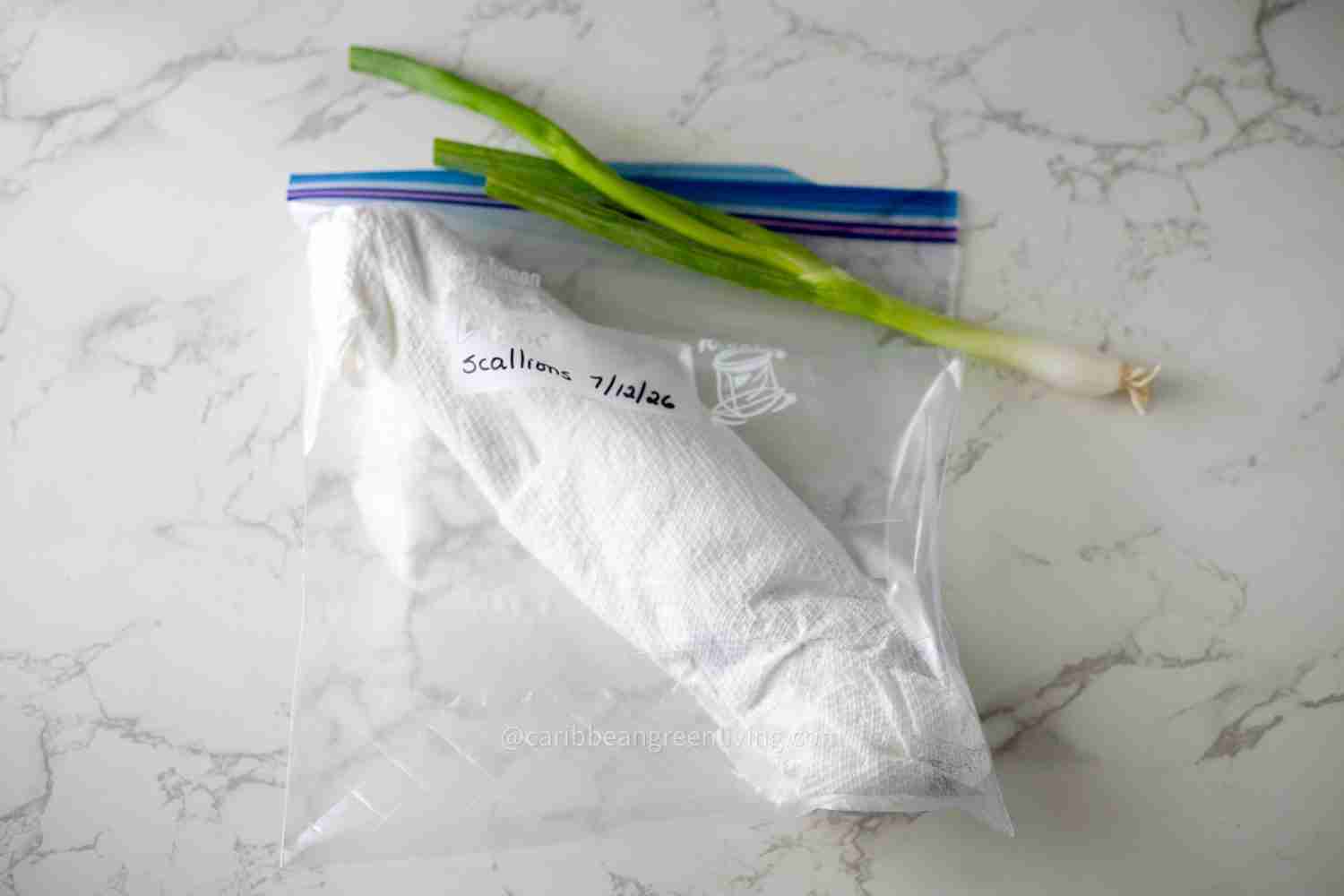 Fridge scallions - fridge storage
