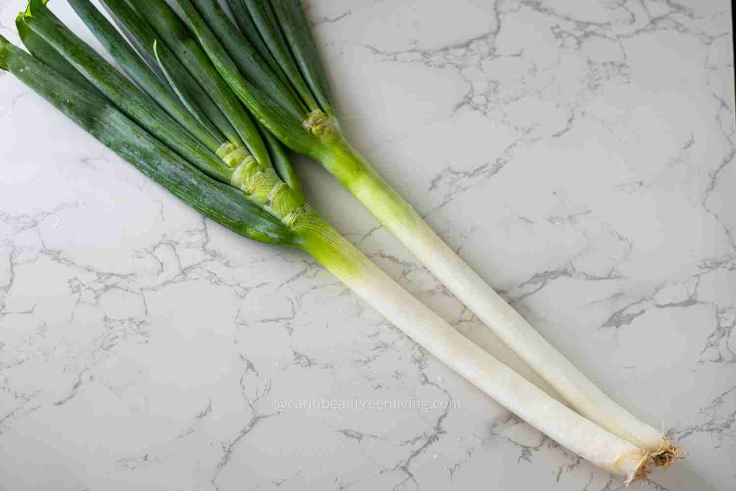 Green Onions bought at an Asian Store