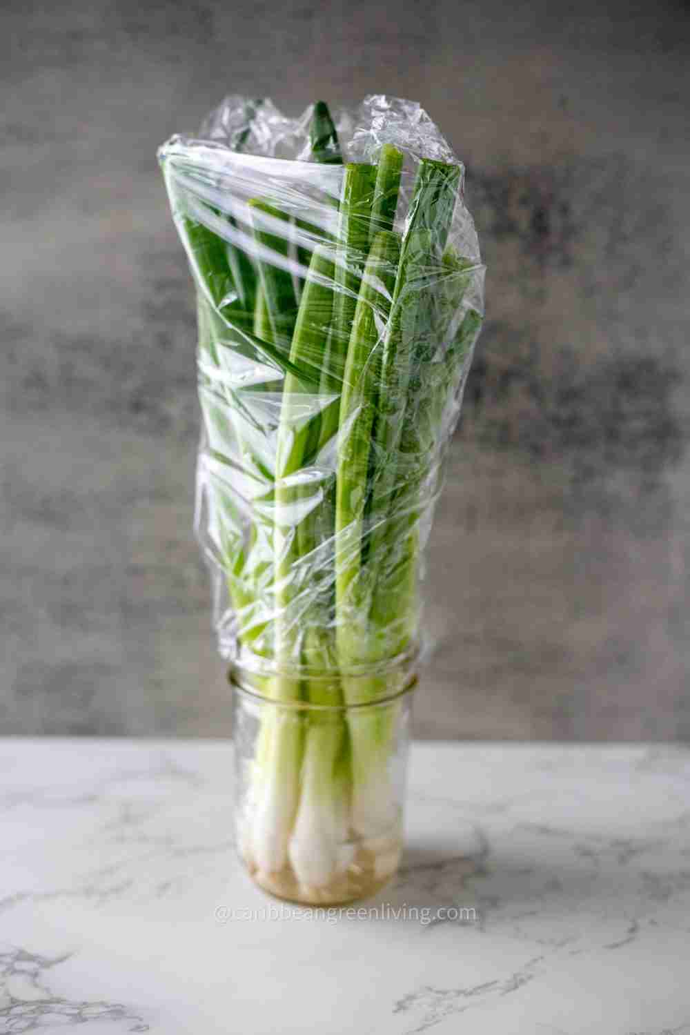 Scallions - jar storage