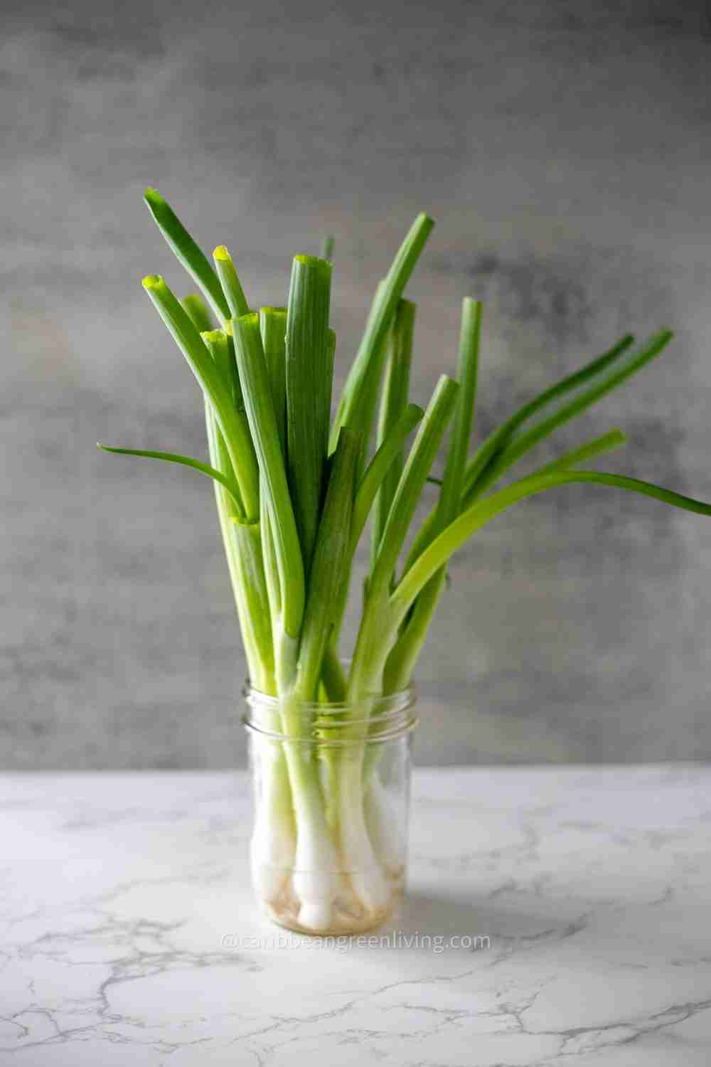 Scallions - jar storage
