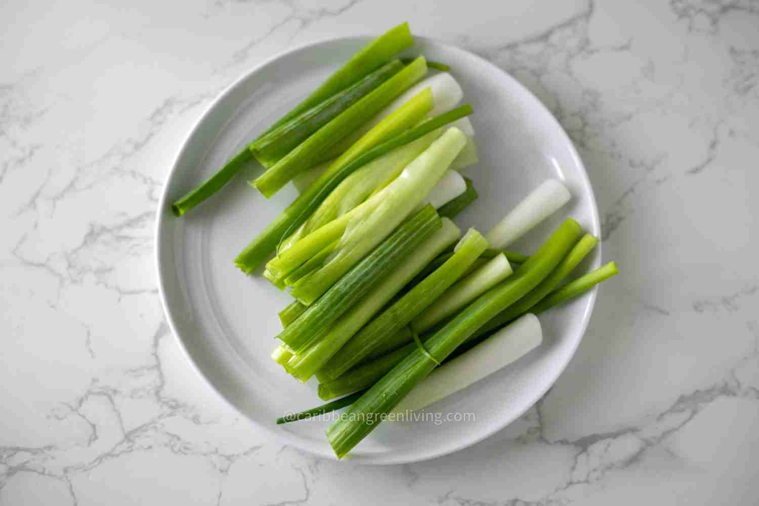Fresh Scallions on plate
