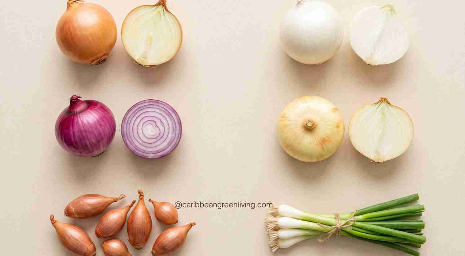 Onions: How to Buy, Store, Cut & Cook Them 3 Common Types of Onions
