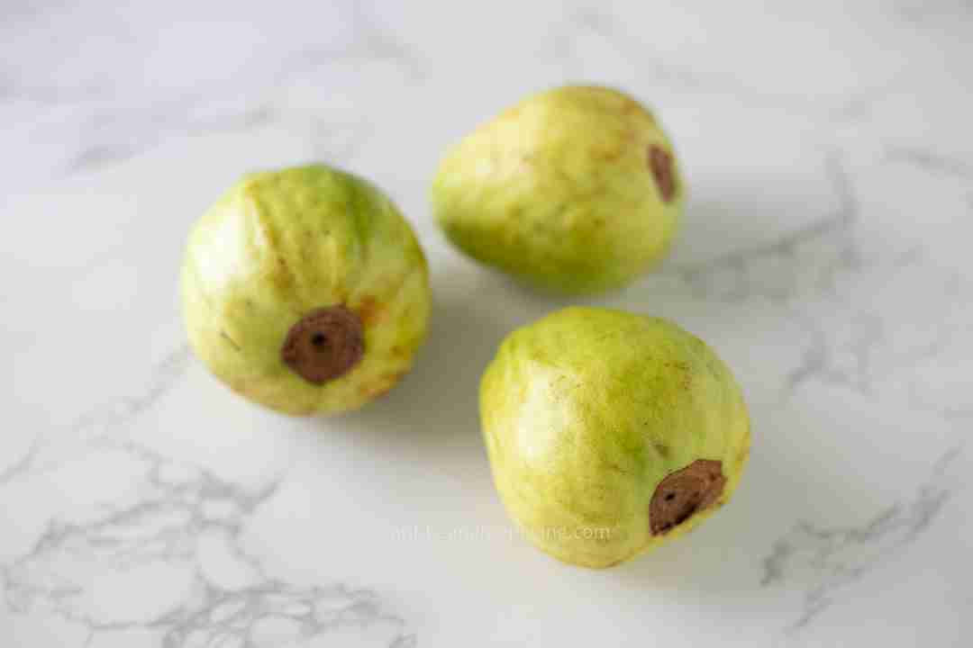 Guava Fruit - Guava Guide