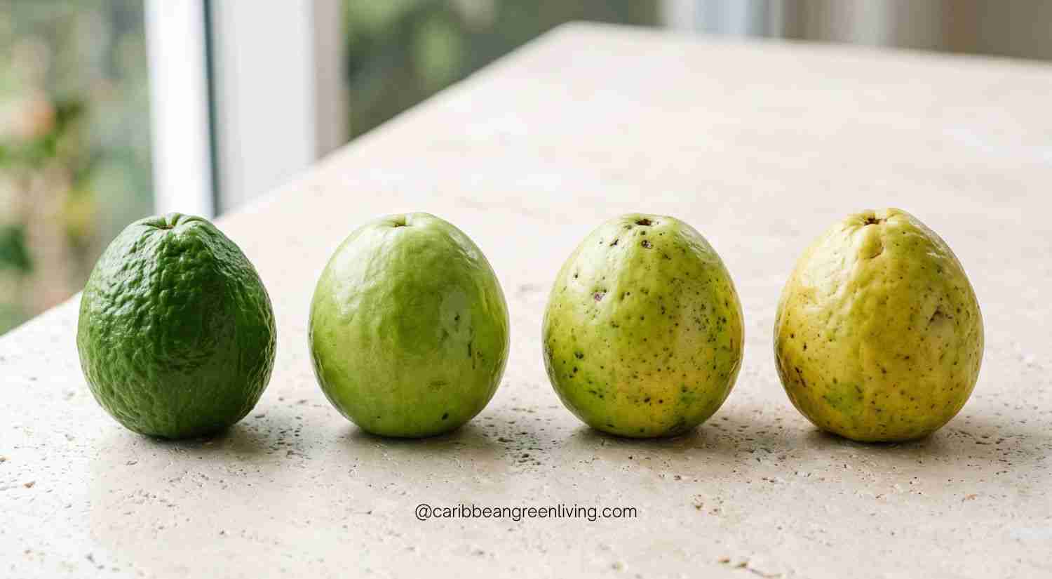 Guava Ripeness Stages