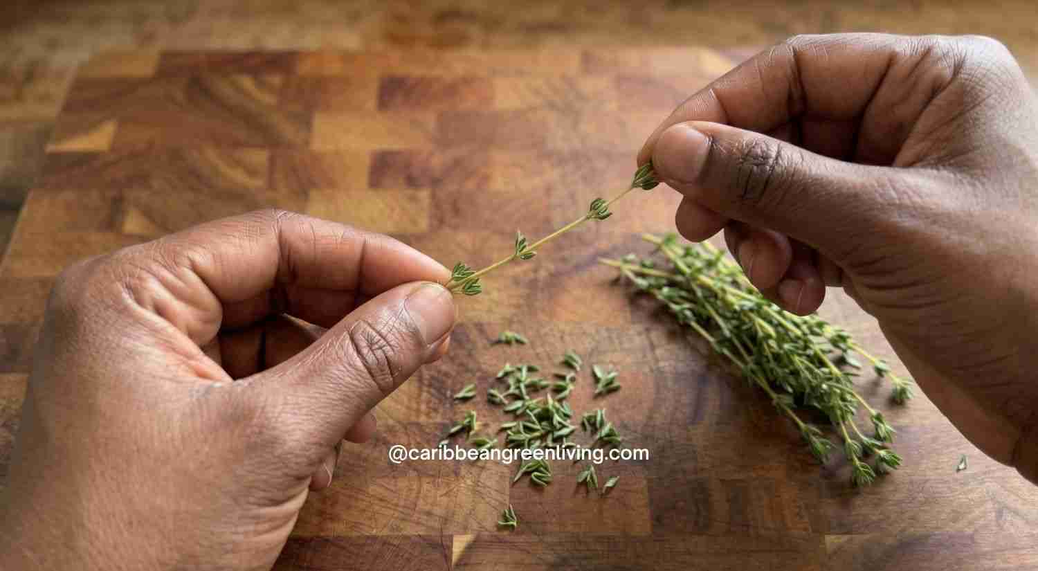 Fresh Thyme: A Complete Guide to Buying, Storing, and Cooking 7 Removing fresh thyme leaves